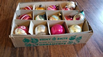 Shiny Brite Ornaments (14pcs)