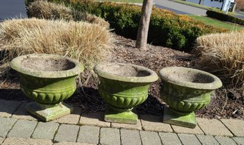 Three Natural Moss Stained Cement Planters