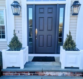 A Pair Of Large White Walpole Planters With Evergreens