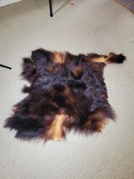Animal Pelt.  The Gentleman Of The House Was A Hunter. - - - - - - - - - - - - -- Loc: AG