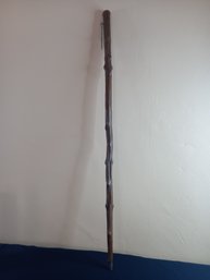 Walking Stick