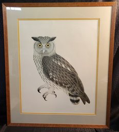 Stunning Vintage 29 X 25 Owl Print In A Beautiful Birdeye Maple Frame