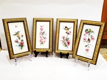 Set Of 4 Vintage Framed Watercolor Hummingbird Paintings