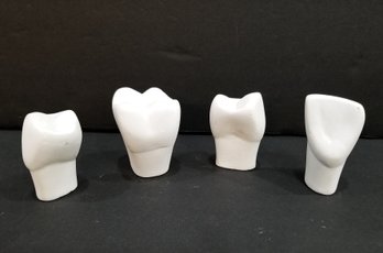 Set Of Four 3.5' Dental Office Model Teeth