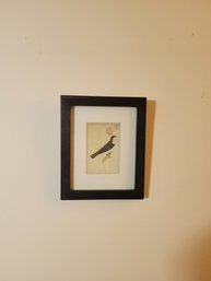 Bird Art. Signed.  Framed / Matted / Under Glass. - -- - - - - - - - - - - - -- - - - -- - -Loc: P Bin Wrapped