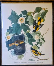 John James Audubon Baltimore Oriole Print
