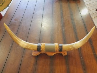 Vintage Bull Steer Mounted Horns On Wood - Rope & Leather Wrapped