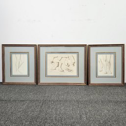 Set Of  Framed Hand Feet Studies The Bombay Company