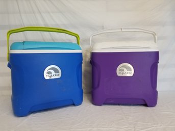 Two Igloo Coolers - Blue & Purple