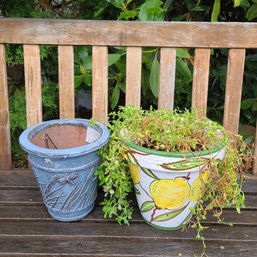 Lovely Pair Of Decorative Dragonfly & Lemon Tree Ceramic Garden Pots