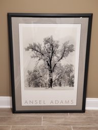 Framed Vintage Ansel Adams Oak Tree Yosemite Authorized Art Poster Winter CA