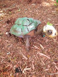 Metal Garden Art Turtle 8' Rustic And Weathered