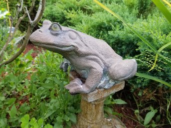 Resin Frog On A Pedestal Stool Garden Art 16'