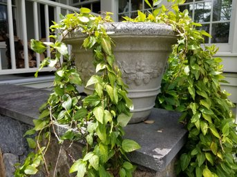 Vintage Concrete Garden Urn Planter Nina Studio Quakertown