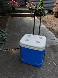 Igloo Cooler