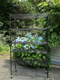 Black Metal Wire Shelf On Wheels