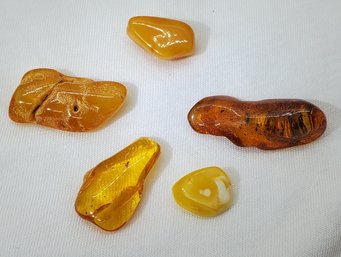 5 Pieces Of Natural Baltic Amber With RARE Bug In Fossil