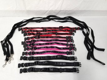 Small Adjustable Size Dog Collars & Leashes - Never Used