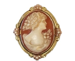 Vintage Carved Oval Cameo Lady Brooch Pin