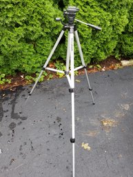 Kodak Tripod 43'