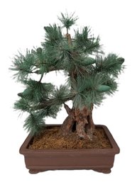 Artificial Japanese White Pine Bonsai Tree In Ceramic Planter