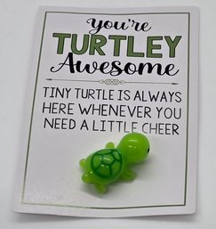 Mini Turtley Awesome Friendship Turtle