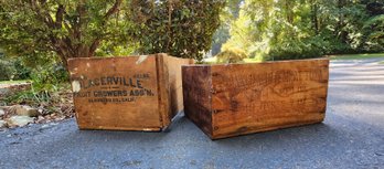 Two Vintage Wooden Fruit And Tuna Crates