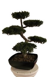 Faux Bonsai