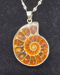 Ammonite Fossil Pendant Necklace In Sterling