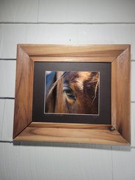 'eye See U' Signed Painting Of A Horses Eye. Interesting.