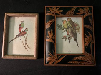 Two Framed 1920s Parakeets Lithograph Prints By John Gould, 'The British Audubon.' 5 X 7