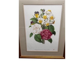 French Botanical Print