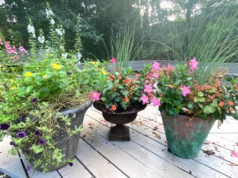 FOUR Outdoor Planters & Flower With Flower Groupings