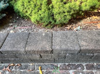 Brick Paver Stones