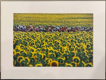 Cycling Photographer Graham Watson ‘The Peloton Team On Stage 12 Of The 2011 Tour De France’ Lithographic Print On Board