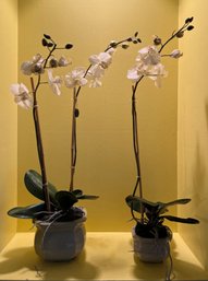 Pair Of Gorgeous Life-like Faux Orchids With Ceramic Pots