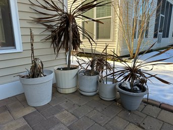 Group Of Five Heavy Plastic Planters