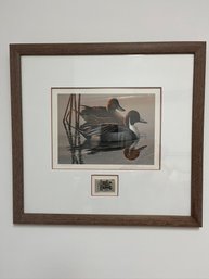 Limited Edition Signed Print Of Migratory Bird Hunting & Conservation Stamp, Pintails