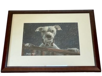 Original Pastel On Paper Of A White Dog. Signed &  Professionally Framed