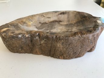 Petrified Wood Bowl, 6 LB 4 Oz, 10 Inch By 5 1/2inch