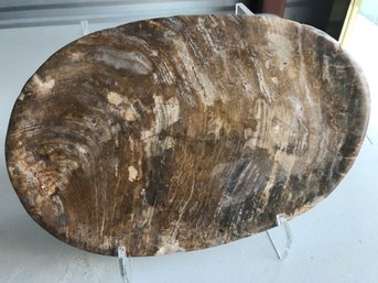 Palm Petrified Wood Plate, 2 LB 6 Oz, 10 Inch  By 7 Inch