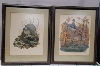 Two Great Antique Framed Wildlife Prints   WA