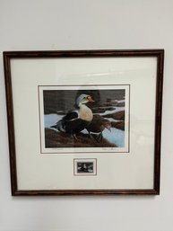 Limited Edition Signed Print Of Migratory Bird Hunting & Conservation Stamp, King Eiders