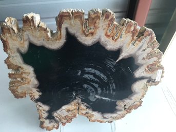 Beautiful Large Petrified Wood Slab, 6 LB, 12 Inch By 11 Inch
