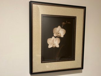 Black And White Flower Picture Frame