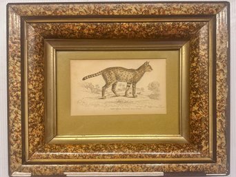 Beautifully  Framed Serval Cat Artwork