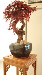 BEAUTIFUL VINTAGE SILK BONZAI TREE