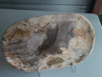 Petrified Wood Plate, 3 LB , 11 1/2 Inch By 7 1/2 Inch