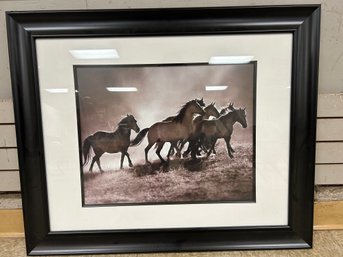 Regal Wild Horse Print