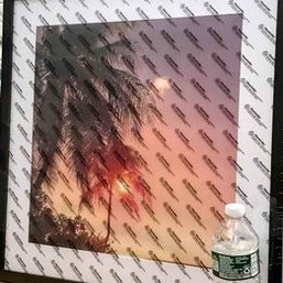 Pair Of Identical Framed Palm Tree Prints Art - New